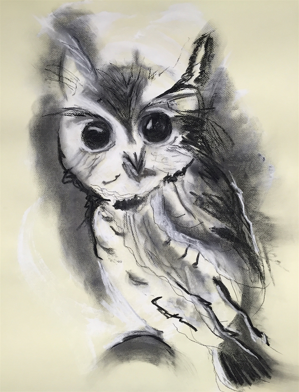 Day4.OwlSketch